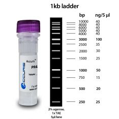 DNA Ladders from Benchmark Accuris